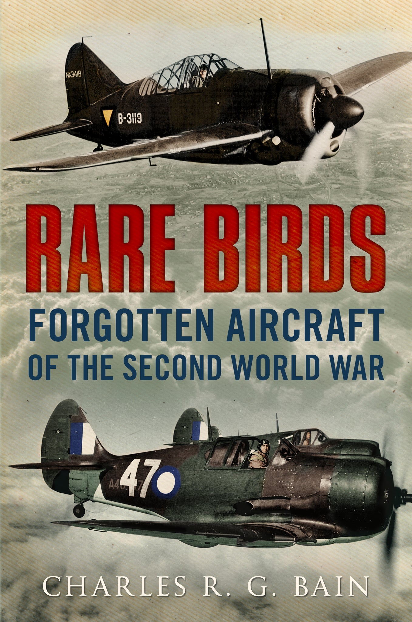Rare Birds: Forgotten Aircraft of the Second World War - available now from Fonthill Media