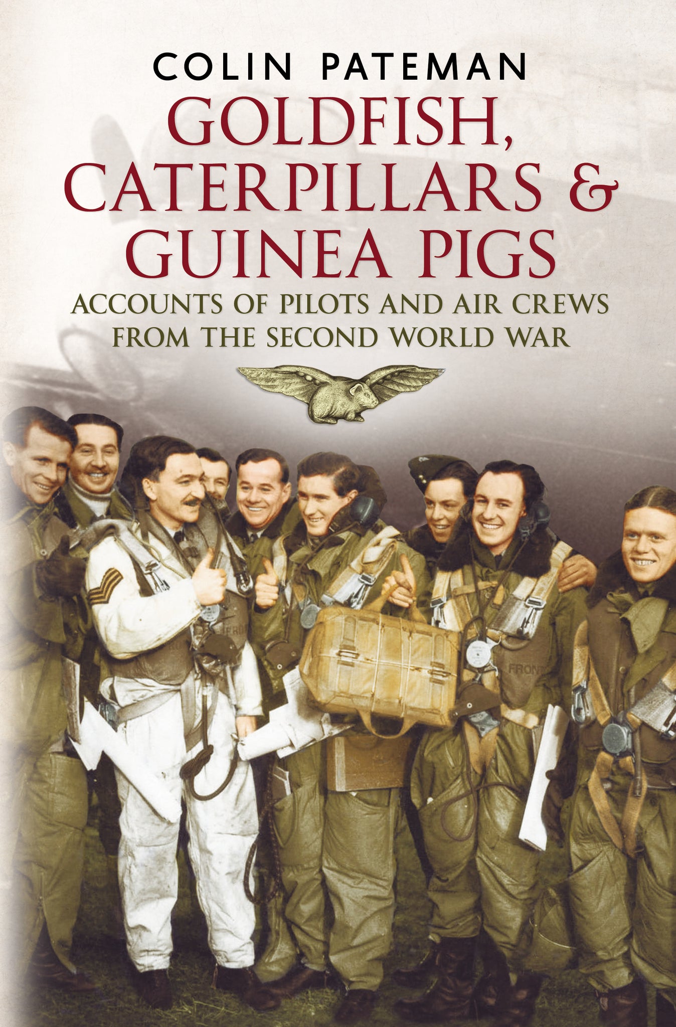 Goldfish Caterpillars & Guinea Pigs: Accounts of Pilots and Air Crews from World War II (hardback edition)