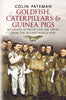 Goldfish Caterpillars & Guinea Pigs: Accounts of Pilots and Air Crews from World War II (hardback edition)