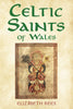 Celtic Saints of Wales - available now from Fonthill Media