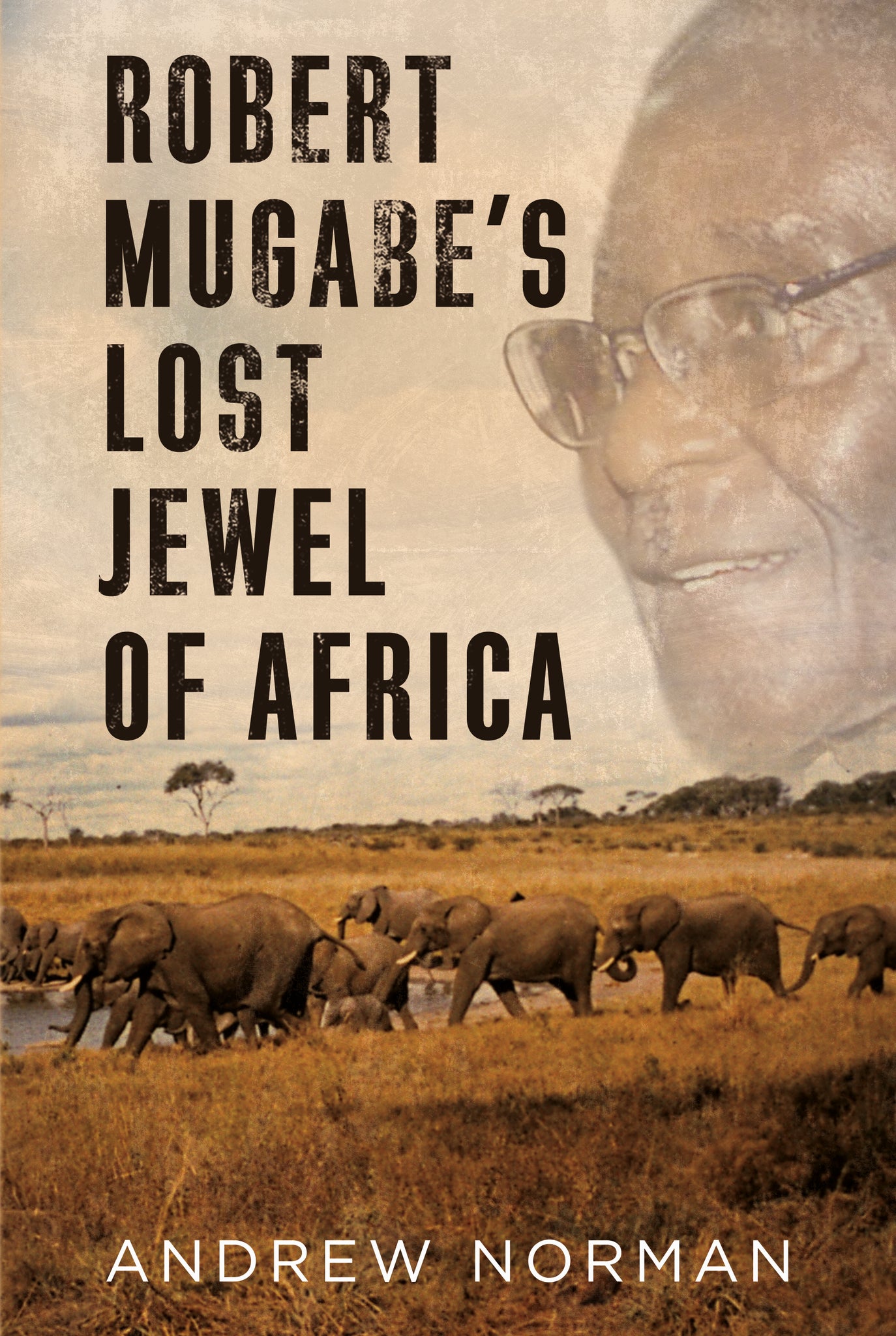Robert Mugabe’s Lost Jewel of Africa Success