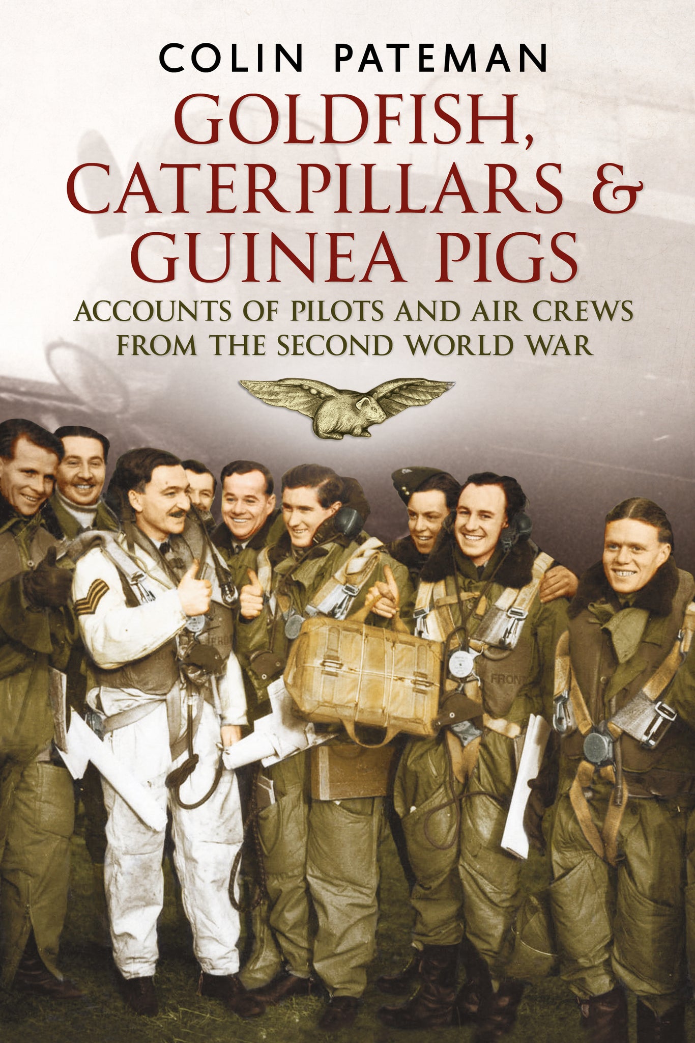 Goldfish Caterpillars & Guinea Pigs: Accounts of Pilots and Air Crews from World War II (paperback edition)